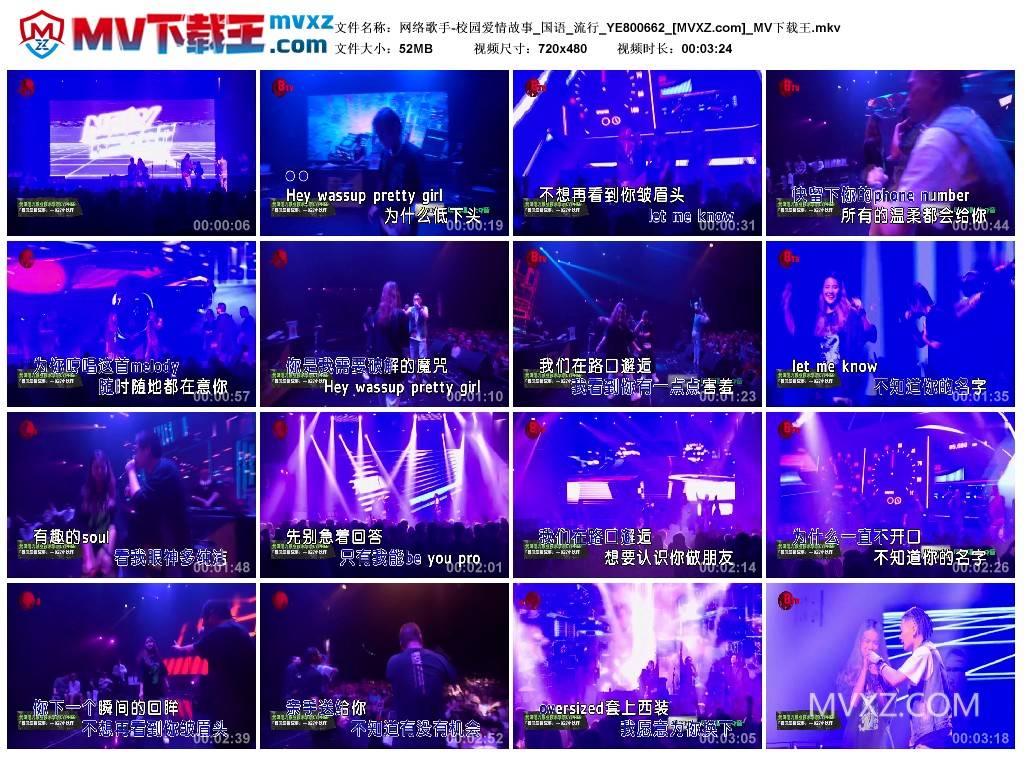 网络歌手-校园爱情故事_国语_流行_YE800662